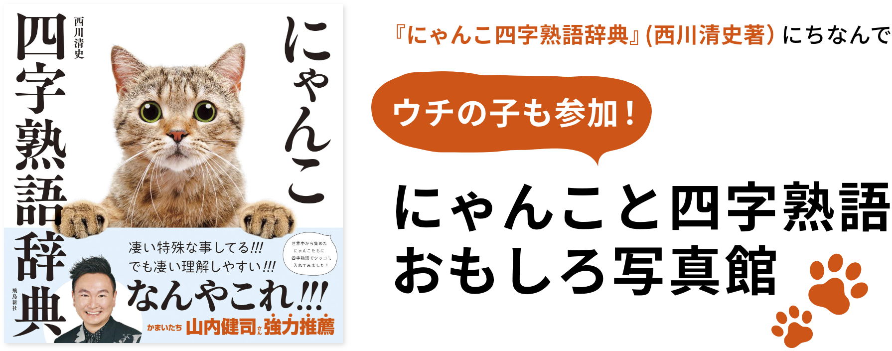 にゃんこと四字熟語おもしろ写真館