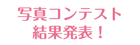 写真コンテスト